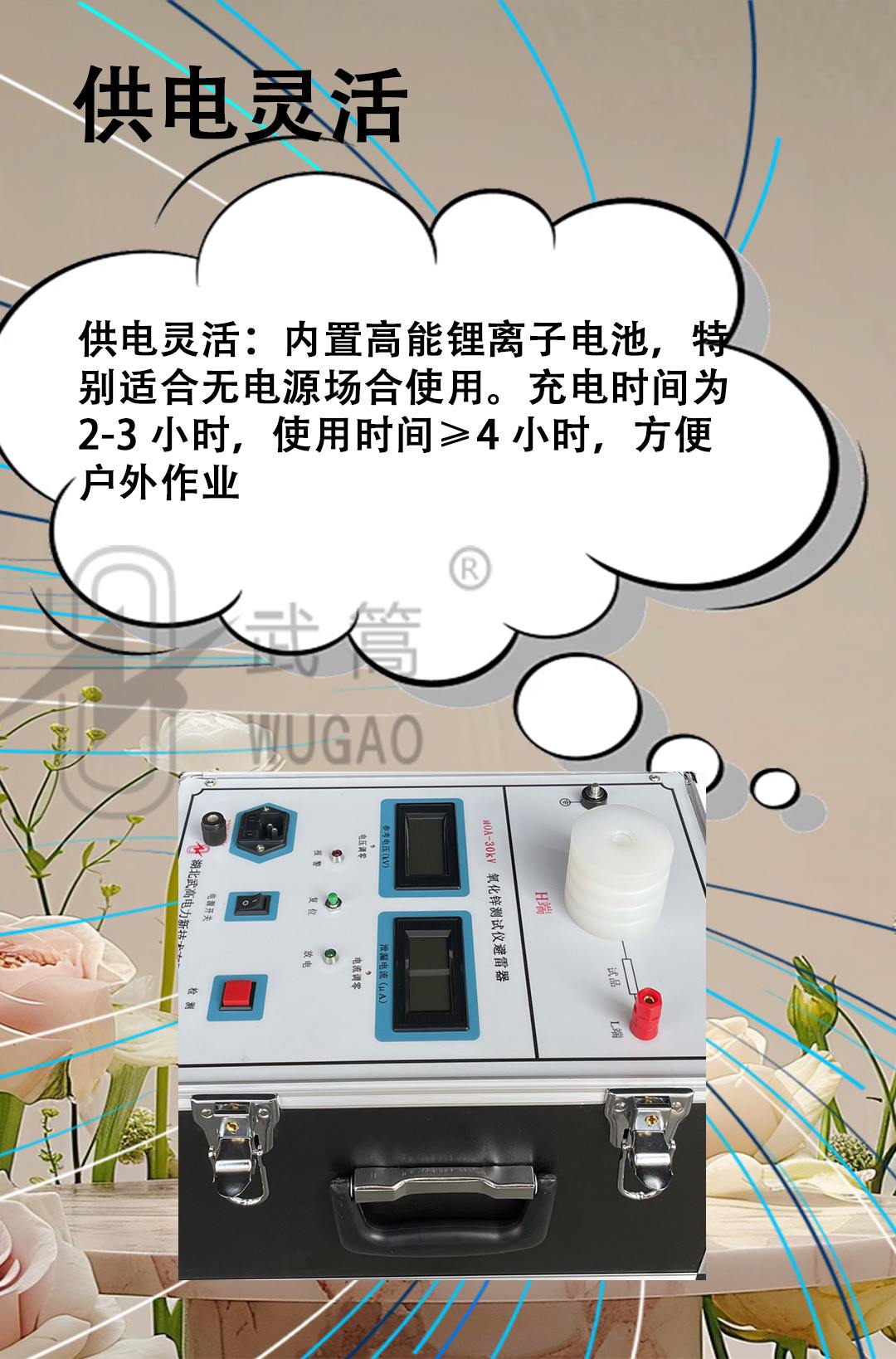 MOA-30KV氧化鋅避雷器測試儀_05.jpg